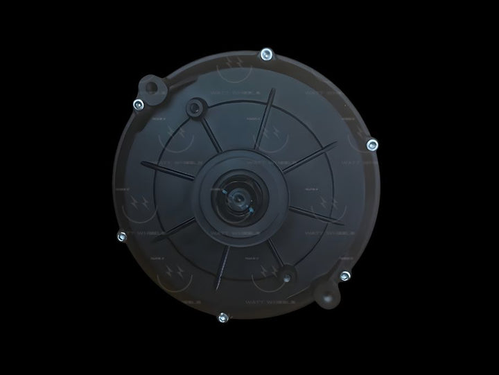 QS 165 V2 Hall Motor