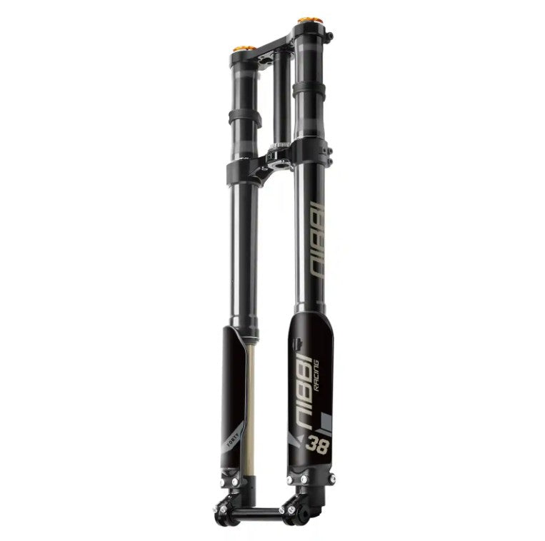 38MM DUAL SPRING Fork