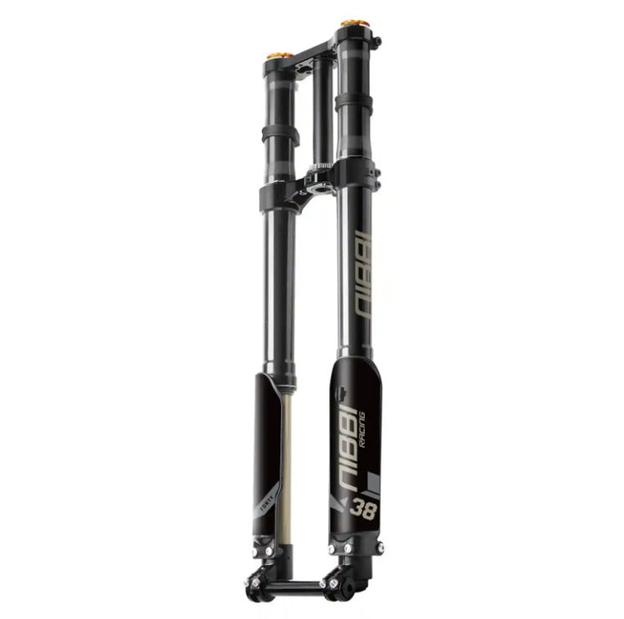 38MM DUAL SPRING Fork