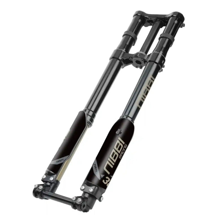 38MM DUAL SPRING Fork