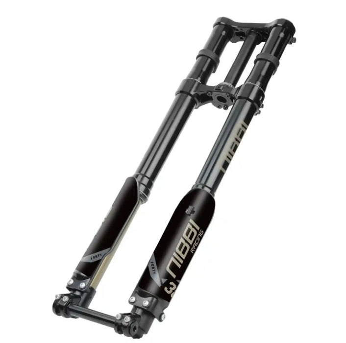 38MM DUAL SPRING Fork