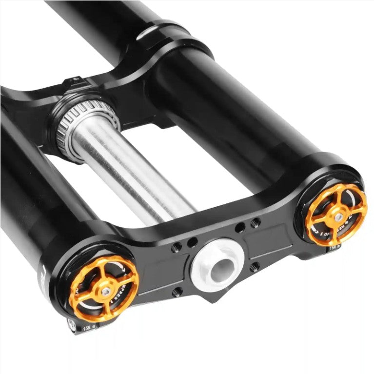 38MM DUAL SPRING Fork