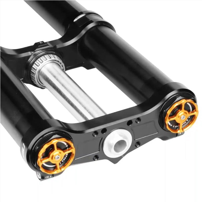 38MM DUAL SPRING Fork