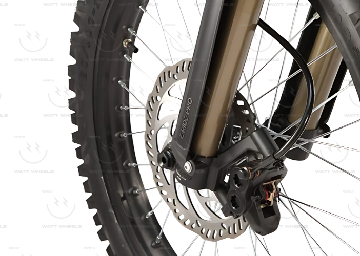 SS 3.0 (19"/18") Off-Road Electric Bike