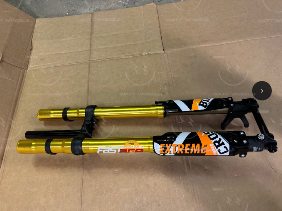 FAST ACE ALX13RC 2.0 GOLD***