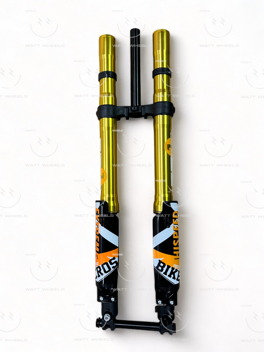FAST ACE ALX13RC 2.0 GOLD***