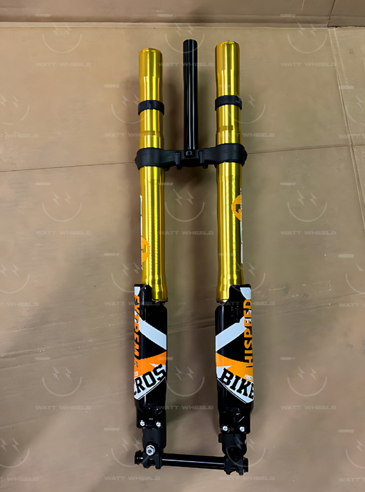 FAST ACE ALX13RC 2.0 GOLD***