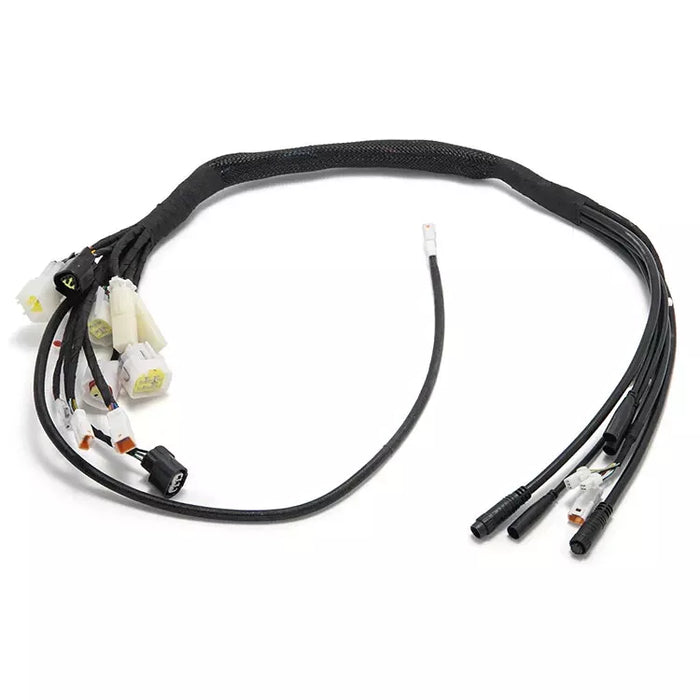 Talaria XXX Wire Harness