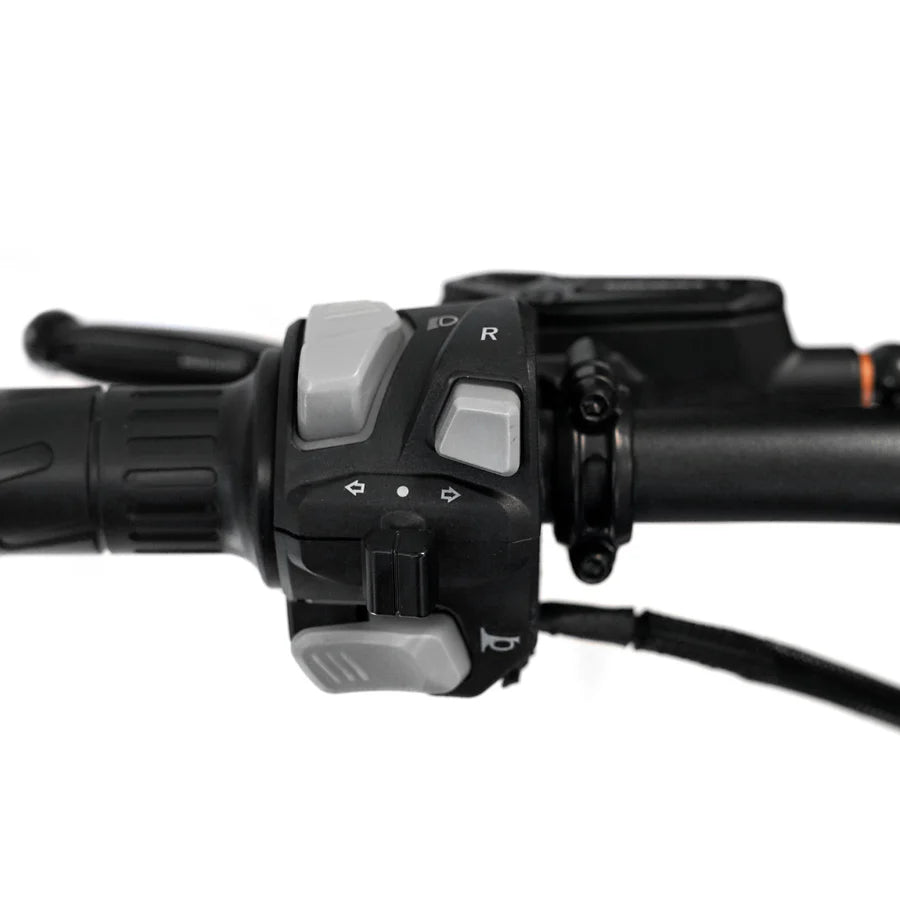 SRPNT X3 Electric Off-Road Performance Bike by Throne Cycles