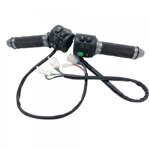 Electric Throttle and Controls